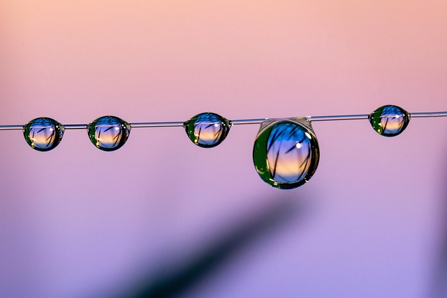 Что важно учитывать при торговле товарами для дома: руководство для успешного бизнеса